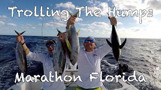 Trolling The Humps  Marathon Florida [upl. by Carbrey]