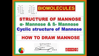 structure of Mannose Biomolecules epimers epimerisation cyclic structure of mannose examanomer [upl. by Albur]