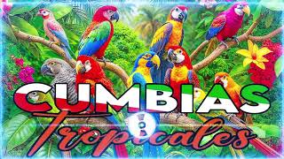 🔆CUMBIAS TROPICALES MIX 🦜VIEJITAS TROPICALES🎺ACAPULCO TROPICAL TROPICAL FLORIDA LOS KARKIS [upl. by Birdt]