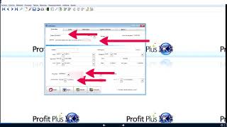 COMO USAR PROFIT PLUS Y CONTABLE INVENTARIO [upl. by Nibas]