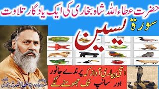 Attaullah Shah Bukhari Surah yaseenSurah YaseenBy Ataullah Shah BukhariAR islamic Tube [upl. by Chubb]