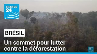 Un sommet pour sauver lAmazonie  le Brésil reçoit huit états pour lutter contre la déforestation [upl. by Lanod533]