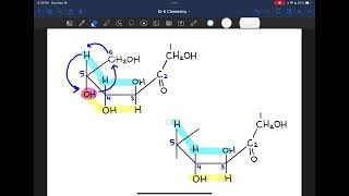 Converting Dfructose from Fischer to Haworth [upl. by Purse544]