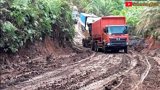 Truk fuso220ps dan truk hino euro4 tak ada garangnya kalau sudah ditanjakan extreme begini [upl. by Intyre900]