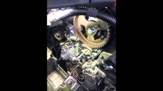 Timing belt replace Peugot Citroen 16 Diesel [upl. by Joachim]