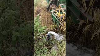 John Deere harvesting reels trending farming folksong harvester harvesting [upl. by Hareema]