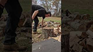 firewood splitting fiskars hookaroon [upl. by Occer]