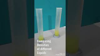 Comparing densities of different Liquids [upl. by Eimas871]