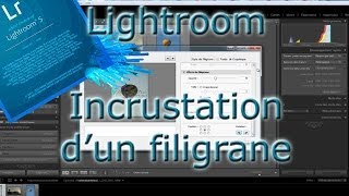 Incrustation de filigranes dans Lightroom [upl. by Bates]