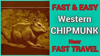 Fast amp Easy Chipmunk Locations Near Fast Travels [upl. by Einahpad]