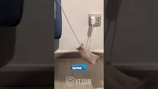 Hamster’s EPIC Mission Impossible Fail Climbing Phone Charger to Bed [upl. by Urbannai]