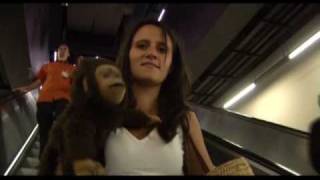 Nina Conti Does Art [upl. by Swetlana]