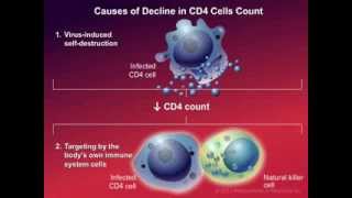 How HIV Causes Disease [upl. by Nairdna]