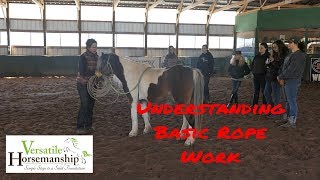 Basic Rope Work With Horses  Versatile Horsemanship [upl. by Andreas296]