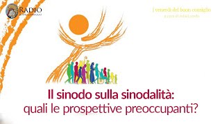 Il sinodo sulla sinodalità quali le prospettive preoccupanti [upl. by Aciemaj]