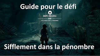 Shadow of the Tomb Raider  Défi Sifflement dans la pénombre à Cozumel [upl. by Aicirtal817]