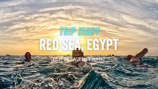 Red Sea Egypt 2023  SwimTrek Trip Diary [upl. by Puttergill775]