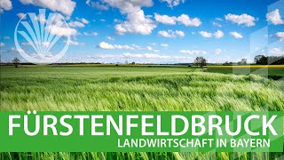 Landwirtschaft in Bayern Landkreis Fürstenfeldbruck in Oberbayern [upl. by Marleen]