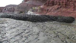 Amazing Flash Flood  Debris Flow Southern Utah HD [upl. by Aibar635]