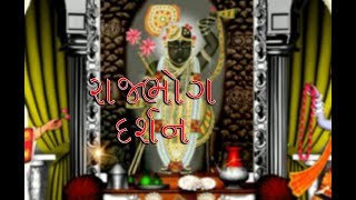 Shrinathji NI Zakhi રાજભોગ દર્શન [upl. by Goldy]