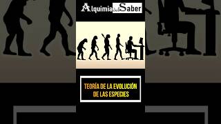 Teoría de la evolución de las especies  Alquimia del Saber  Sh58 prehistoria curiosidades [upl. by Katt]