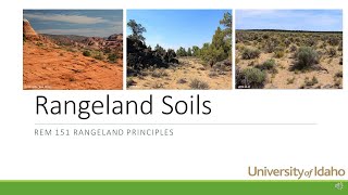 Rangeland Soils [upl. by Onateag403]