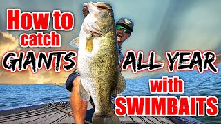 How to Catch Fish YEAR ROUND with Big Swimbaits BEST Bait for Each Situation [upl. by Leirda59]