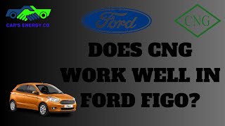 DOES CNG WORK WELL IN FORD FIGO [upl. by Abbotsen]