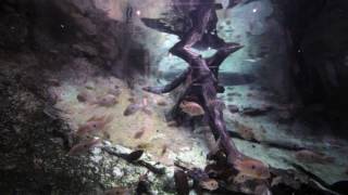 Flooded Forest  Cosmocaixa  Barcelona [upl. by Hynda]