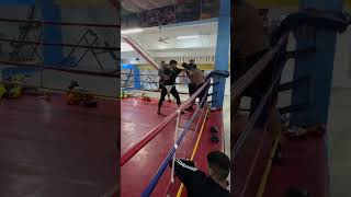 Boxing Salambo fight 20 [upl. by Yemrej]