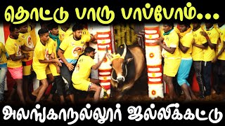 அலங்காநல்லூர் ஜல்லிக்கட்டு 2024  Jallikattu  maravarmanpictures [upl. by Suoirad]