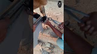 Hoof restoration shorts viralvideo hoof hooves hoofws trending [upl. by Assylem402]