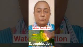 Eutrophication हिंदी में Understanding the Impact on Aquatic Ecosystems shortsfeed ytshorts [upl. by Edras883]