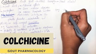 Colchicine  MechanismUsePharmacokineticAdverse effectContraindication in detailUrduHindi [upl. by Alaehcim420]