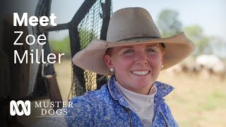 Zoe Miller – passionate about animal welfare and calm educated stock  Muster Dogs  ABC Australia [upl. by O'Grady]