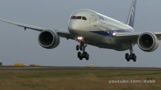 B787 testflight crosswind landing [upl. by Gilligan391]