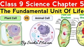 NCERT Solutions For Class 9 Science Chapter 5 The Fundamental Unit of Life By Sneha Maam  PART 04 [upl. by Yanehs]