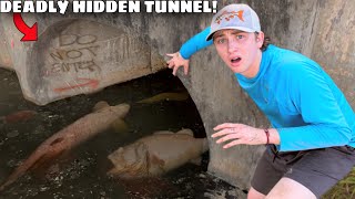 I Saved Fish From a DEADLY Hidden Tunnel [upl. by Joacima]