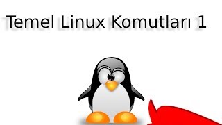 Temel Linux Eğitimi  07 Linux Komutları 1 ls  cd  pwd [upl. by Outlaw]