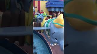 Happiness riding Flying Dumbo 🐘magickingdom disney dumbo happy orlando florida [upl. by Arny]