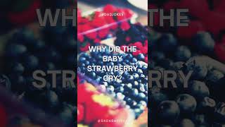 Strawberry crying dad joke dadjokes dadhumor funny comedy funnyvideo comedyshorts funnyshorts [upl. by Anitneuq]