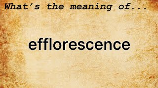 Efflorescence Meaning  Definition of Efflorescence [upl. by Claribel]