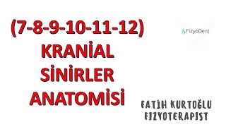 712 Kranial Sinirler  ANATOMİ SİSTEMLER KONU ANLATIMI 13 [upl. by Noyrb396]