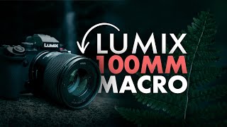 Panasonic LUMIX S 100mm F28 Macro Lens  In The Field [upl. by Yror807]