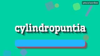 CYLINDROPUNTIA  HOW TO PRONOUNCE IT [upl. by Attenra]