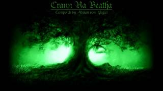 Celtic Music  Crann Na Beatha [upl. by Billy753]