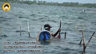 தமிழ் ஈழத்தின் அழகு தனி அழகு  Thamil Eelathin Azhagu thani Azhagu [upl. by Borchert80]