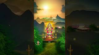 ayyappa Samy song  iyappansongs ayyapaa [upl. by Otter602]