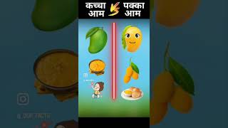 Kecha Aam Vs Pakka Aam ytshorts [upl. by Flessel]