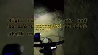 When you ride MTB’s at night bike mtb owlsattack [upl. by Ajam]